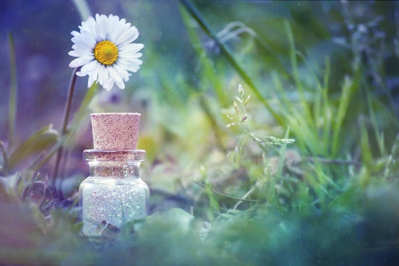 Magical Planter